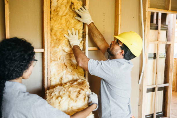 Best Spray Foam Insulation  in Charleston, MO